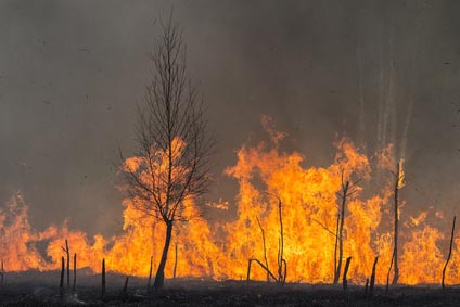 Bush fire attack and building product compliance
