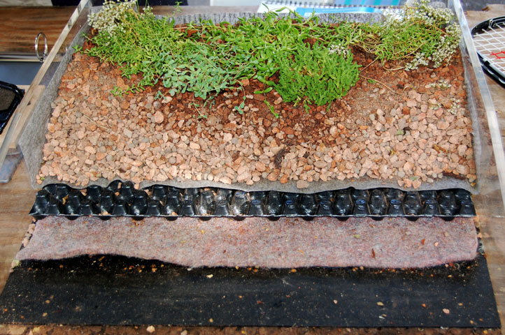 Example of Green Roof Construction