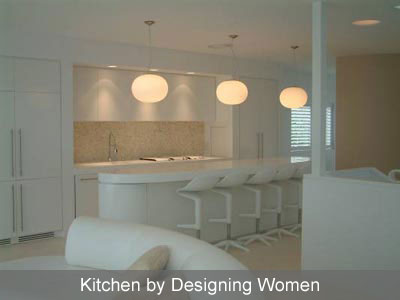 Designing Women Modern Kitchen