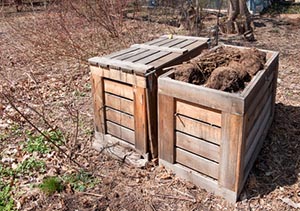 too-much-rain-dainage-and-composting-ideas