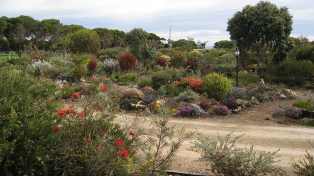 A contemporary Australian garden