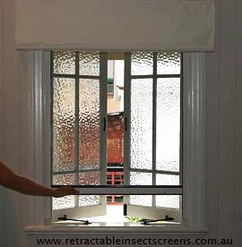 Pull down retractable insect screen