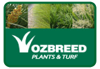 The home of no fuss, functional, drought tolerant plants and turf.