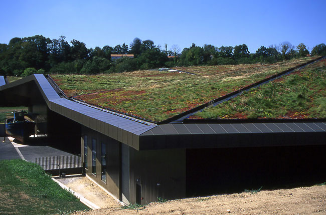 Example of a Green Roof