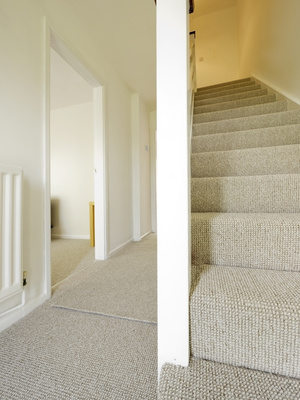 carpeting stairs