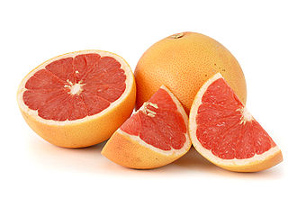 citrus paradisi_grapefruit ruby_568 