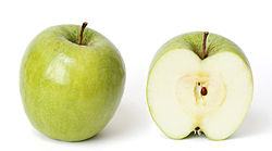 malus xdomestica granny smith apple fruit 556 